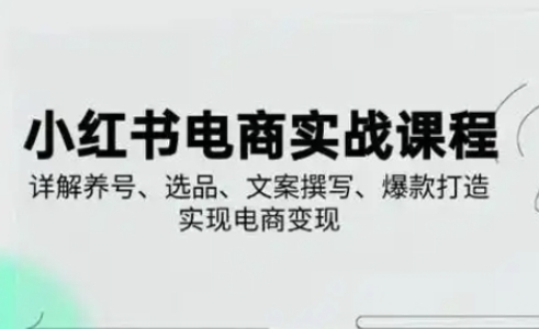 小红书从0-1实操课(2023-2025)，详解养号、选品、文案撰写、爆款打造实现电商变现-我爱自学网
