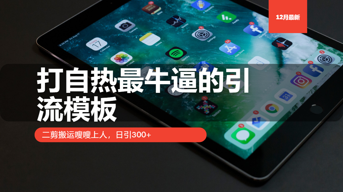 打自热最牛逼的引流模板，二剪搬运嗖嗖上人，日引300+-我爱自学网