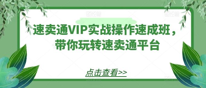 速卖通VIP实战操作速成班，带你玩转速卖通平台-我爱自学网
