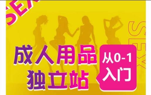 成人用品独立站从0-1入门，成品独立站运营全流程教学，七大好卖成品独立站推荐-我爱自学网