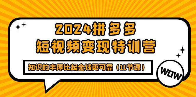 (9817期)2024拼多多短视频变现特训营，知识的丰厚比起金钱更可靠(11节课)-我爱自学网