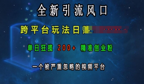 全新引流风口，跨平台玩法日入上k，单日狂揽200+精准创业粉，一个被严重忽略的视频平台-我爱自学网