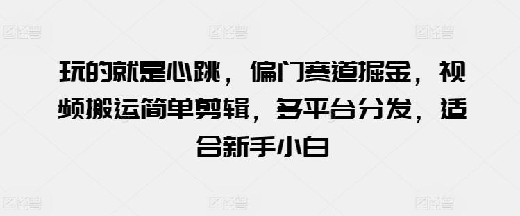 玩的就是心跳，偏门赛道掘金，视频搬运简单剪辑，多平台分发，适合新手小白【揭秘】-我爱自学网