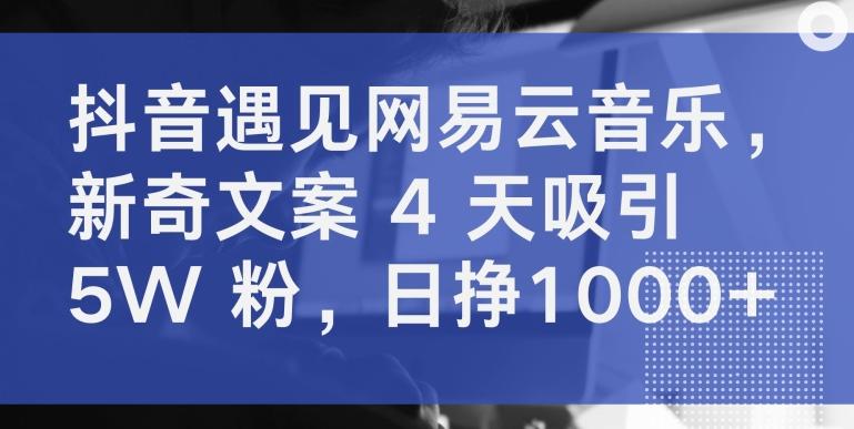 抖音遇见网易云音乐，新奇文案 4 天吸引 5W 粉，日挣1000+【揭秘】-我爱自学网