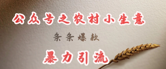 deepseek写农村小项目，条条爆款，暴力引流-我爱自学网