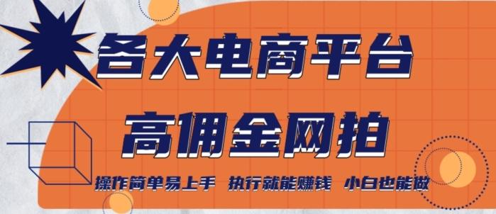 各大电商平台高佣金网拍，操作简单易上手，执行就能赚钱，小白也能做-我爱自学网