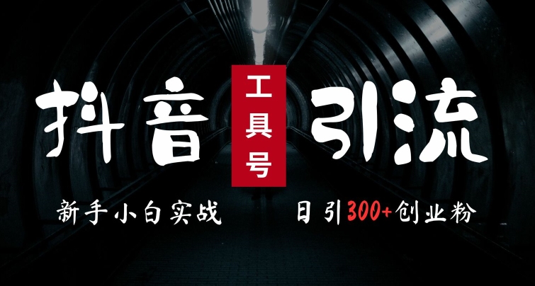 2024最新抖音工具号引流玩法，高效日引300+创业粉，当天变现5k，小白也可成为实战高手-我爱自学网