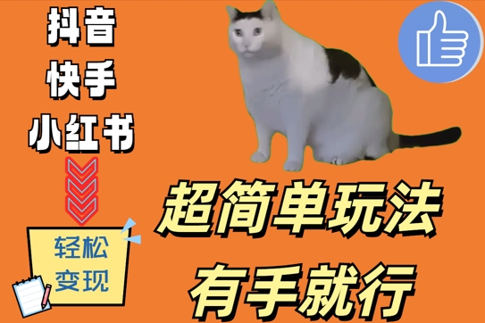 超简单玩法，有手就行，靠猫咪视频日入500+【揭秘】-我爱自学网