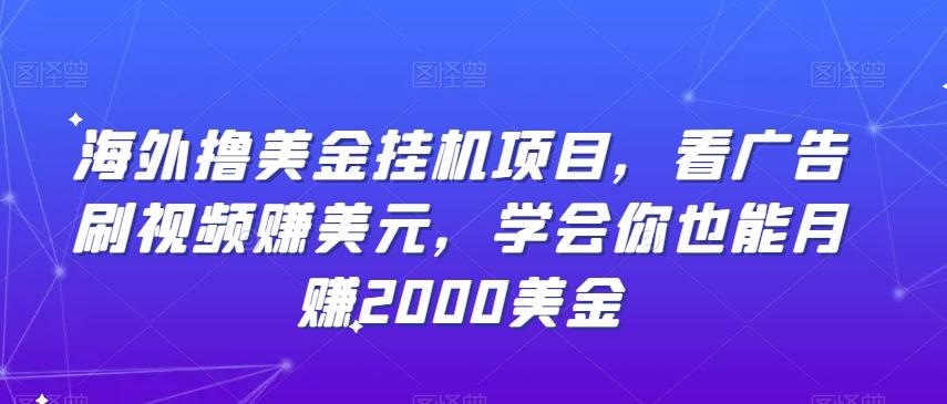 海外撸美金挂机项目，看广告刷视频赚美元，学会你也能月赚2000美金-我爱自学网