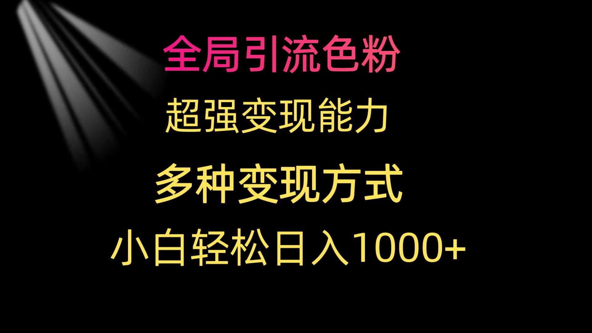 (9680期)全局引流色粉 超强变现能力 多种变现方式 小白轻松日入1000+-我爱自学网