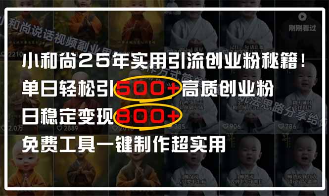 小和尚2025年实用引流秘籍！单日轻松引500+高质量创业粉，日变现800+，…-我爱自学网