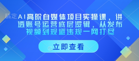 AI高阶自媒体项目实操课，讲透账号运营底层逻辑，从发布视频到规避违规一网打尽-我爱自学网