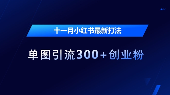 十一月小红书最新打法，单图引流300+创业粉【揭秘】-我爱自学网
