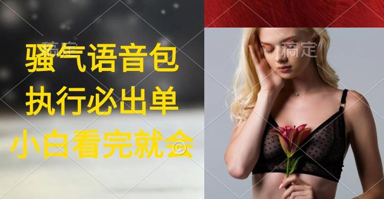 (9589期)执行就出单，日入2000+，超火骚气语音包，小白看完课程就能马上实操-我爱自学网