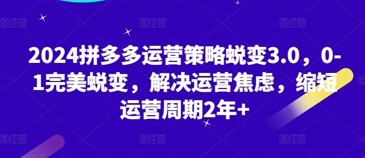 2024拼多多运营策略蜕变3.0，0-1完美蜕变，解决运营焦虑，缩短运营周期2年+-我爱自学网
