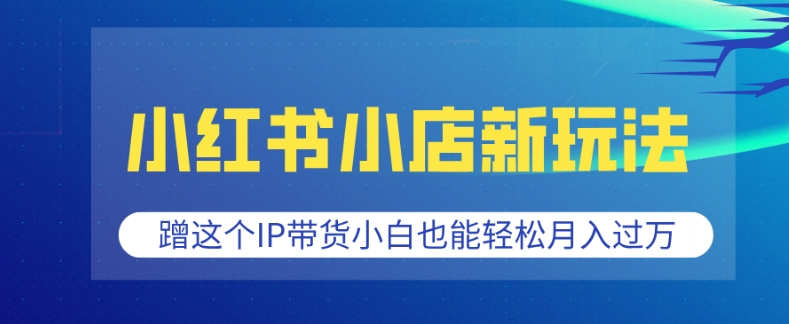 小红书小店新玩法，蹭这个IP带货，小白也能轻松月入过W【揭秘】-我爱自学网