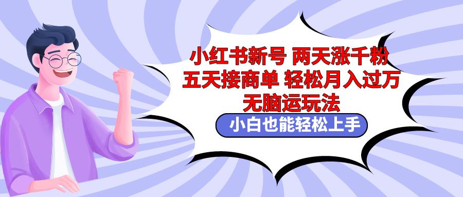 小红书新号两天涨千粉五天接商单轻松月入过万 无脑搬运玩法 小白也能轻…-我爱自学网