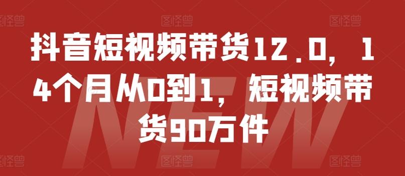 抖音短视频带货12.0，14个月从0到1，短视频带货90万件-我爱自学网