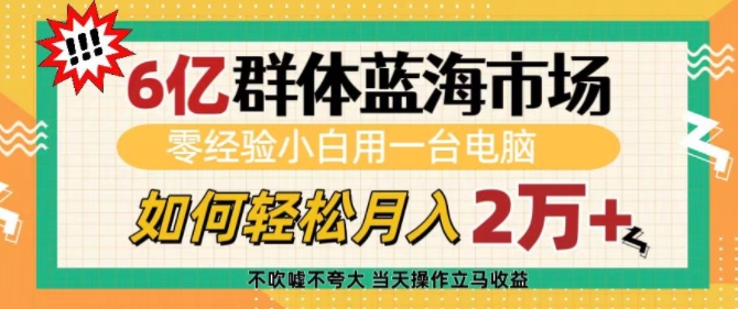 6亿群体蓝海市场，零经验小白用一台电脑，如何轻松月入过w【揭秘】-我爱自学网