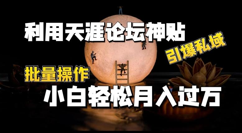 利用天涯论坛神贴，引爆私域，批量操作，小白轻松月入过w【揭秘】-我爱自学网