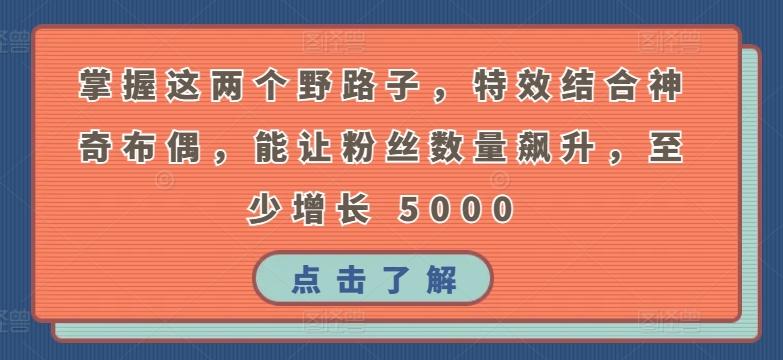 掌握这两个野路子，特效结合神奇布偶，能让粉丝数量飙升，至少增长 5000【揭秘】-我爱自学网