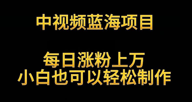 中视频蓝海项目，解读英雄人物生平，每日涨粉上万，小白也可以轻松制作，月入过万不是梦【揭秘】-我爱自学网