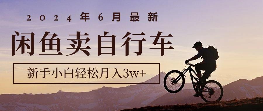 2024年6月最新闲鱼卖自行车，新手小白轻松月入3w+项目-我爱自学网