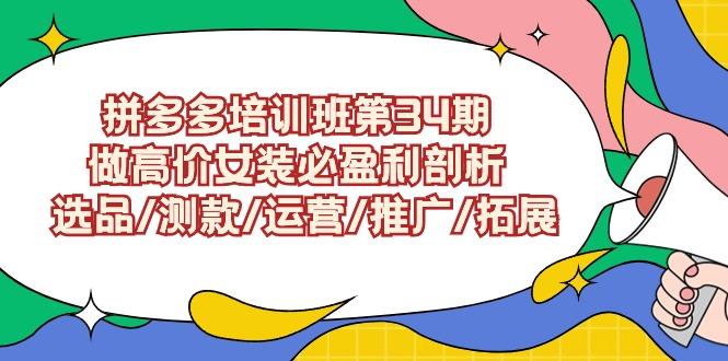 (9333期)拼多多培训班第34期：做高价女装必盈利剖析  选品/测款/运营/推广/拓展-我爱自学网