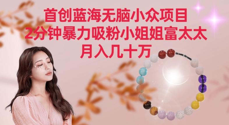 首创蓝海无脑小众项目，2分钟暴力吸粉小姐姐富太太，月入几十万【揭秘】-我爱自学网