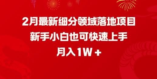 2月最新细分领域落地项目，新手小白也可快速上手，月入1W-我爱自学网