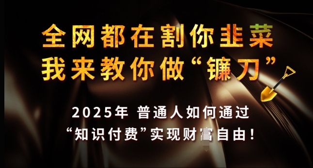 全网都在割你韭菜，我来教你做镰刀，2025年普通人如何通过 知识付费 实现财F自由【揭秘】-我爱自学网