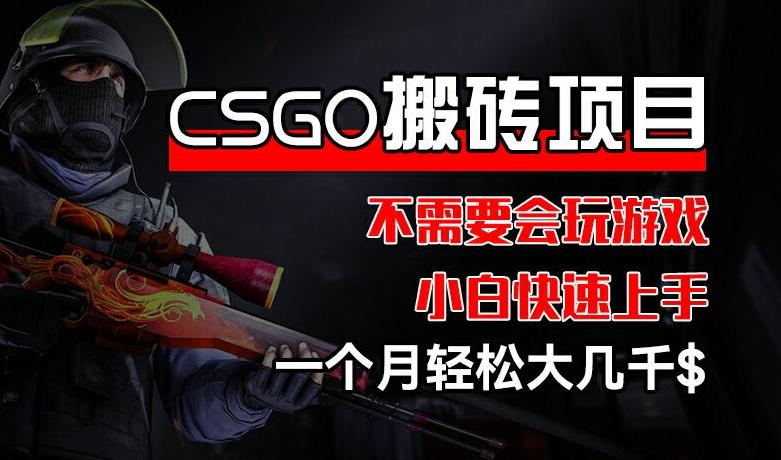 CSGO 装备搬砖项目，操作简单，不需要会玩游戏，小白也能快速上手，一个月轻松大几千【揭秘】-我爱自学网