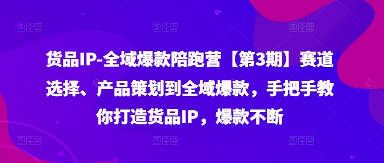 货品IP全域爆款陪跑营【第3期】赛道选择、产品策划到全域爆款，手把手教你打造货品IP，爆款不断-我爱自学网