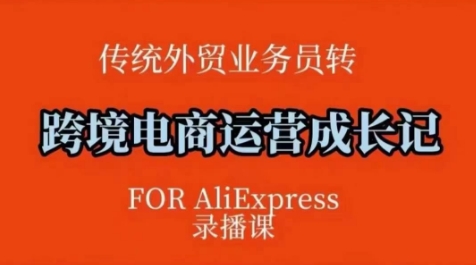 跨境电商速卖通运营课，​运营方法论+后台实操，逻辑清晰-我爱自学网