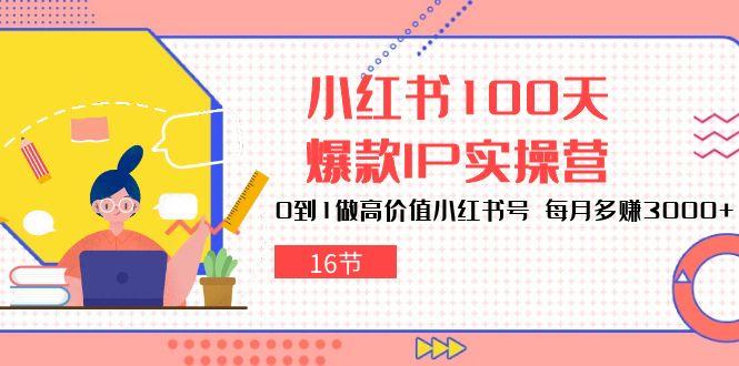 小红书100天-爆款IP实操营，0到1做高价值小红书号 每月多赚3000+(16节-我爱自学网