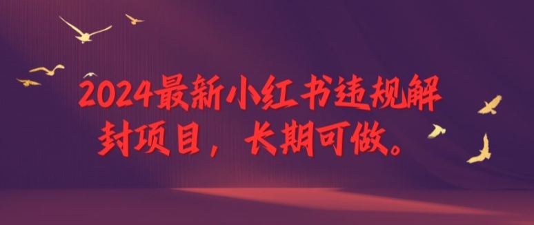 2024最新小红书违规解封项目，长期可做，一个可以做到退休的项目【揭秘】-我爱自学网