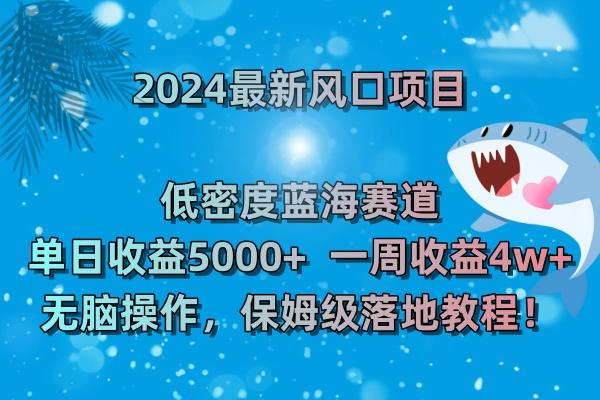 (8545期)2024最新风口项目 低密度蓝海赛道，日收益5000+周收益4w+ 无脑操作，保…-我爱自学网