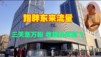 蹭胖东来流量，三天涨万粉，收益直接起飞-我爱自学网