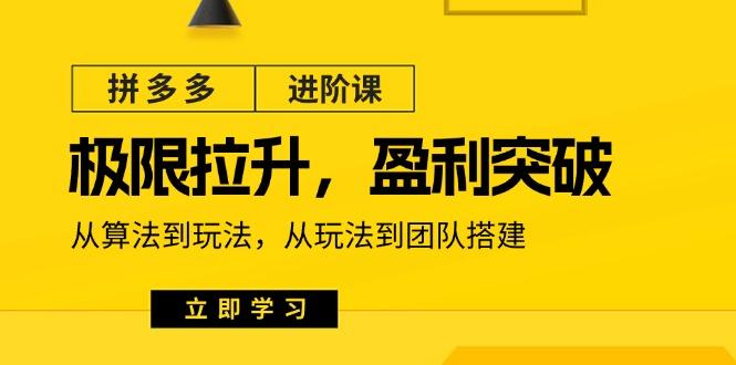 拼多多·进阶课：极限拉升/盈利突破：从算法到玩法 从玩法到团队搭建-18节-我爱自学网