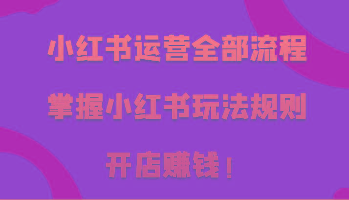 小红书运营全部流程，掌握小红书玩法规则，开店赚钱！-我爱自学网