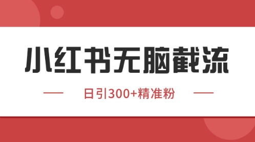 小红书只要你有同行就能获客，独家野路子获客玩法，暴力截流【揭秘】-我爱自学网
