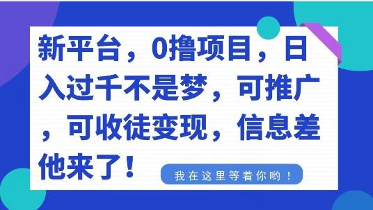 不要再花冤枉钱了，0撸项目，每天坚持，稳定1000+-我爱自学网