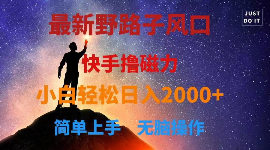 最新风口！快手撸磁力，野路子，小白无脑操作日入2000+-我爱自学网