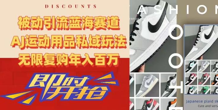 被动引流蓝海赛道，AJ运动用品私域玩法，无限复购年入百万【揭秘】-我爱自学网