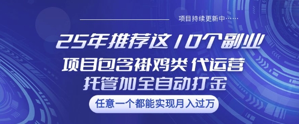 25年推荐这10个副业项目包含褂鸡类、代运营托管类、全自动打金类【揭秘】-我爱自学网