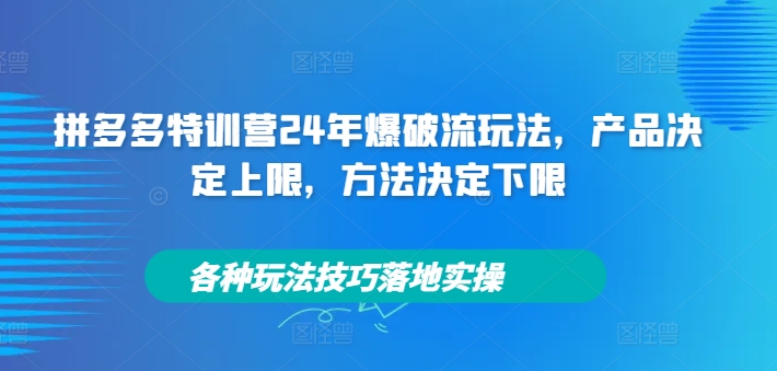 拼多多特训营24年爆破流玩法，产品决定上限，方法决定下限，各种玩法技巧落地实操-我爱自学网