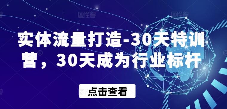 实体流量打造-30天特训营，30天成为行业标杆-我爱自学网