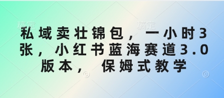 私域卖壮锦包，一小时3张，小红书蓝海赛道3.0版本， 保姆式教学-我爱自学网