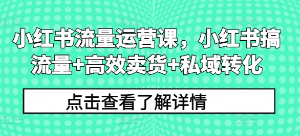 小红书流量运营课，小红书搞流量+高效卖货+私域转化-我爱自学网