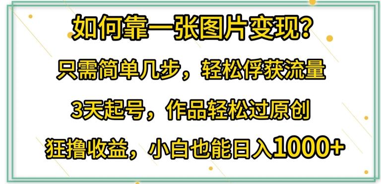 如何靠一张图片变现?只需简单几步，轻松俘获流量，3天起号，作品轻松过原创【揭秘】-我爱自学网